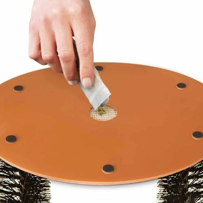 Cat Arch Self-Groomer & Scratcher