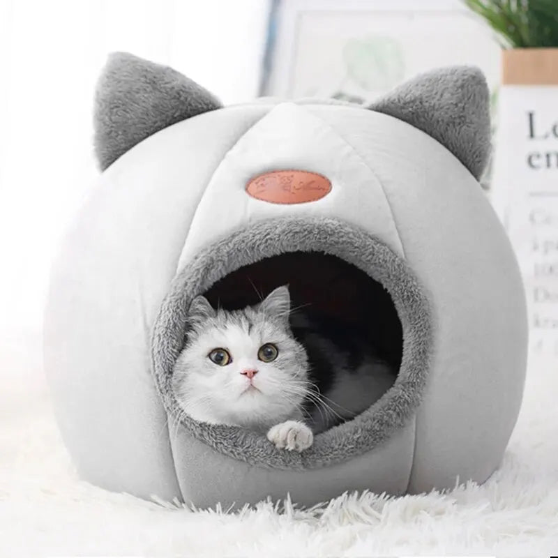 Cat-Head Cave Bed