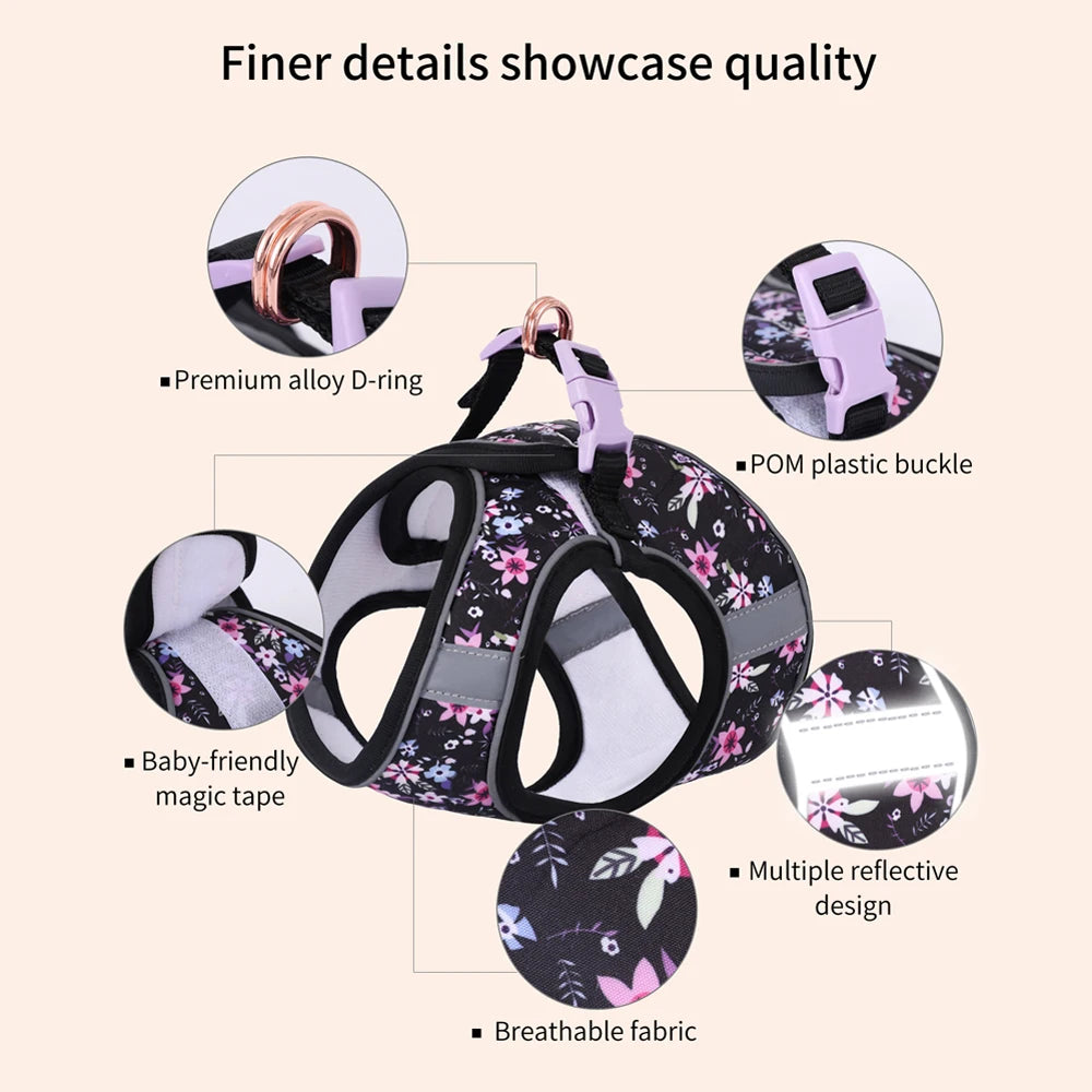 Small Dog Harness & Leash Set