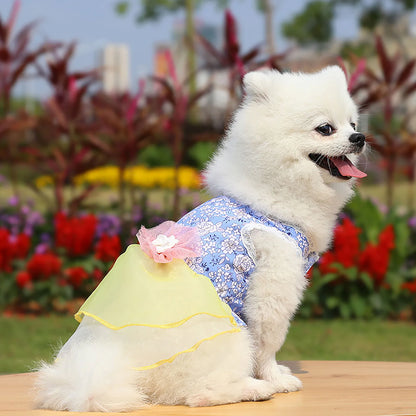 Rose Summer Dog Dress