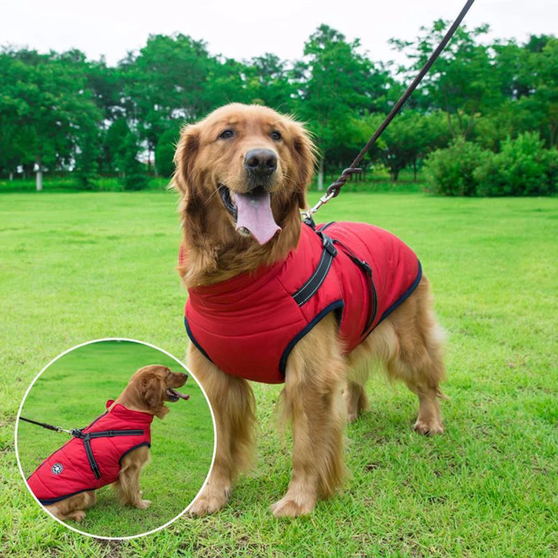 Winter Dog Jacket with Built-In Harness