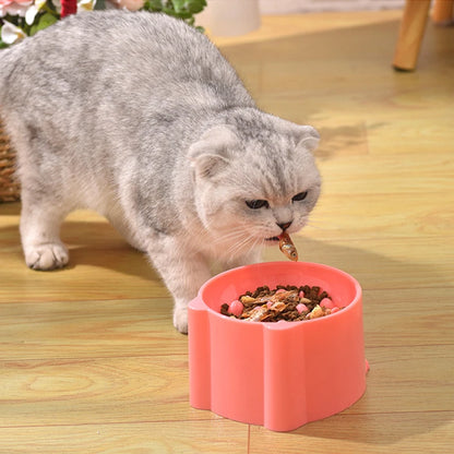 Raised Slow-Feed Pet Bowl