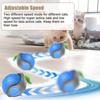 Automatic Rolling Cat Ball