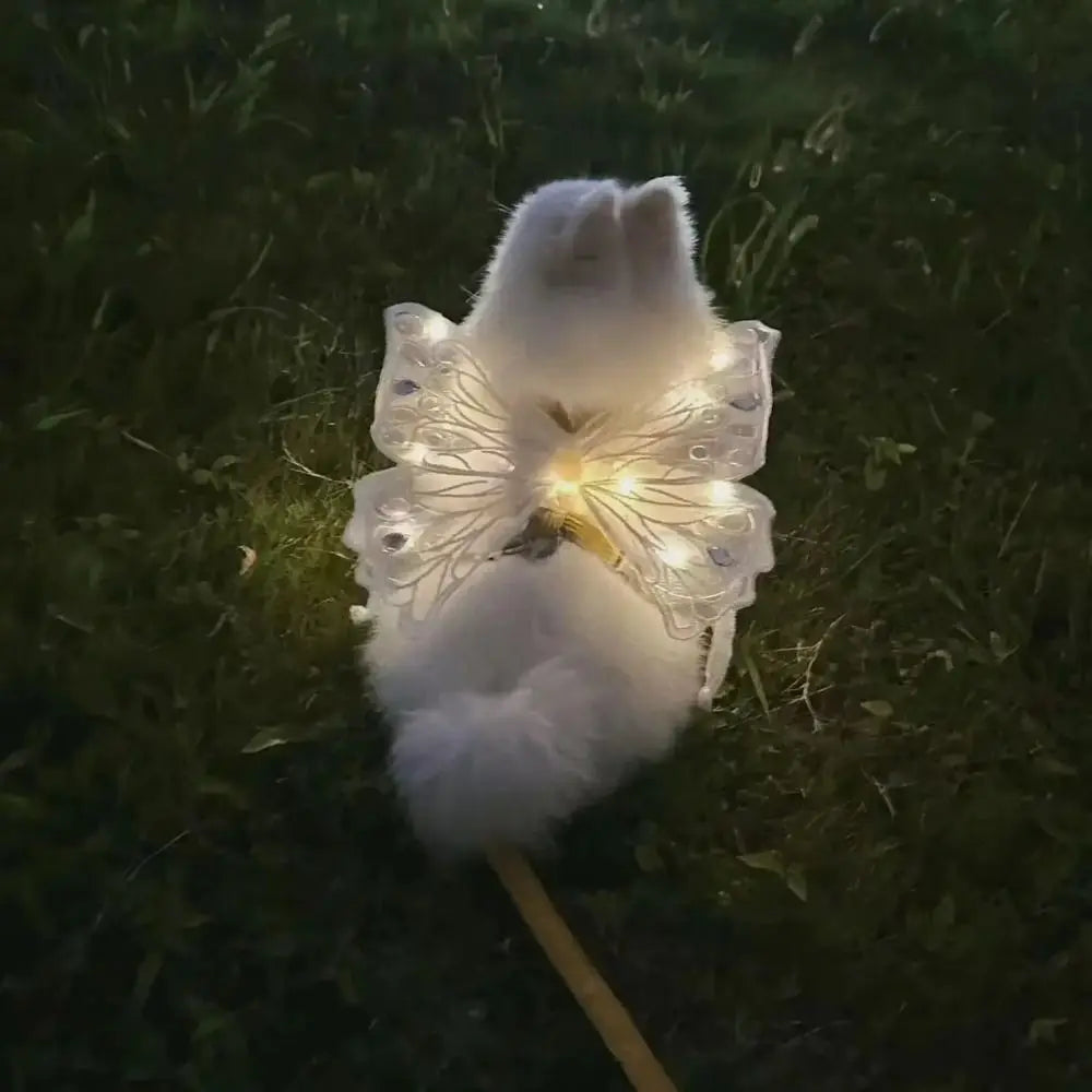 Glowing Butterfly Wings Pet Accessory