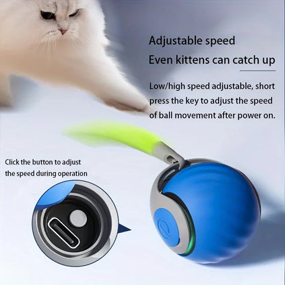 Automatic Rolling Cat Ball