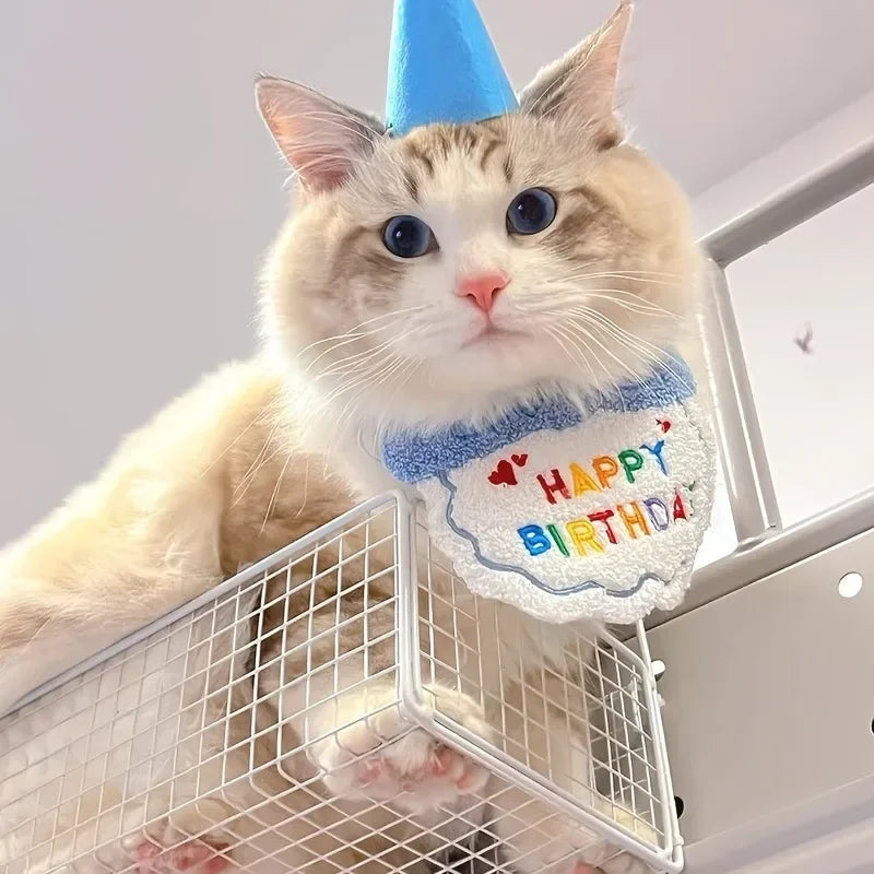Dog Birthday Hat & Bandana Set