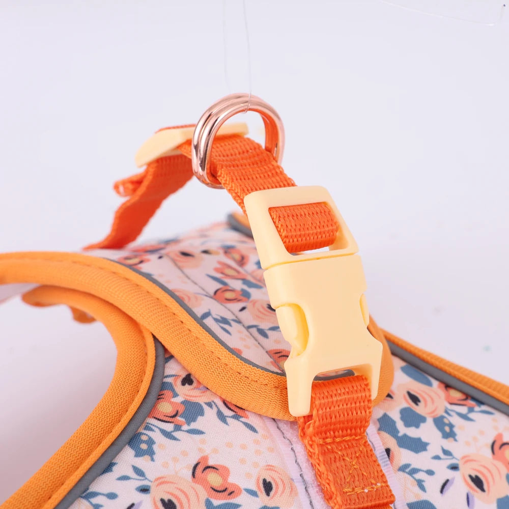Small Dog Harness & Leash Set