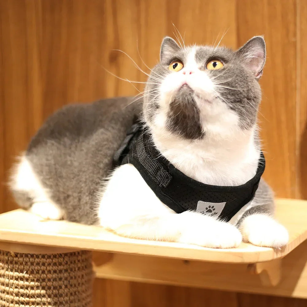 Reflective Escape-Proof Cat Harness Set