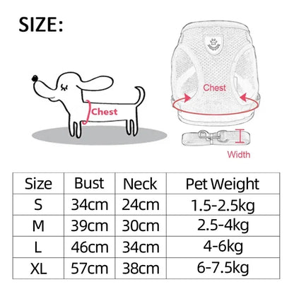 Mesh Cat & Dog Vest Harness Set