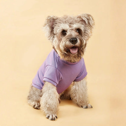 Solid Summer Dog Tee