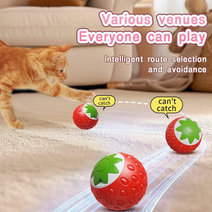 Automatic Rolling Cat Ball
