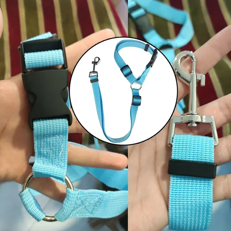 2-in-1 Dog Car Seat Belt & Leash