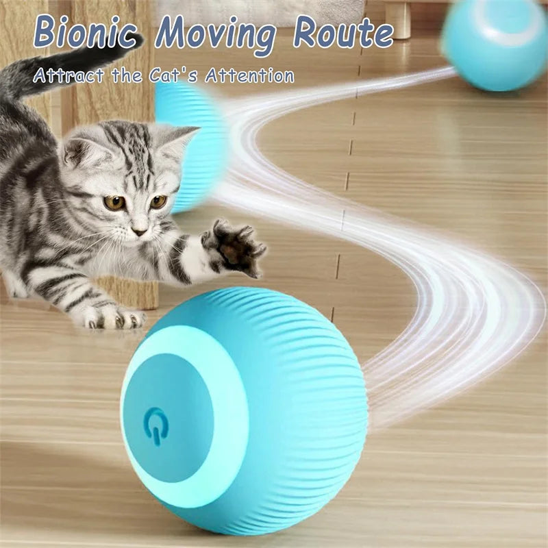 Automatic Rolling Cat Ball