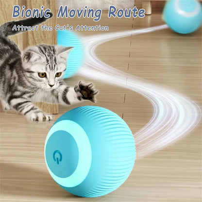 Automatic Rolling Cat Ball