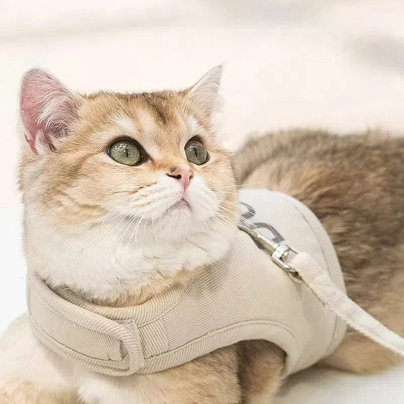 Escape-Proof Pet Vest Harness & Leash