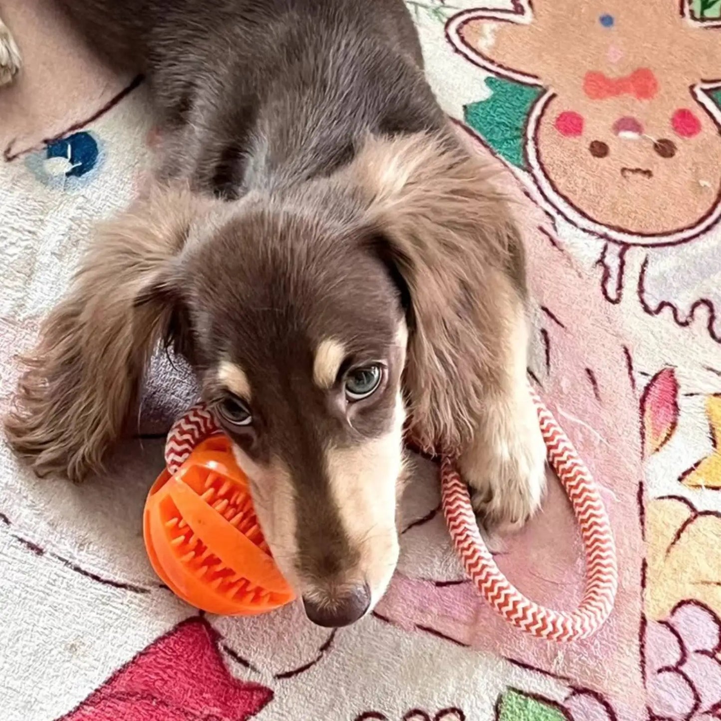 Cotton Rope Treat Ball Dog Toy