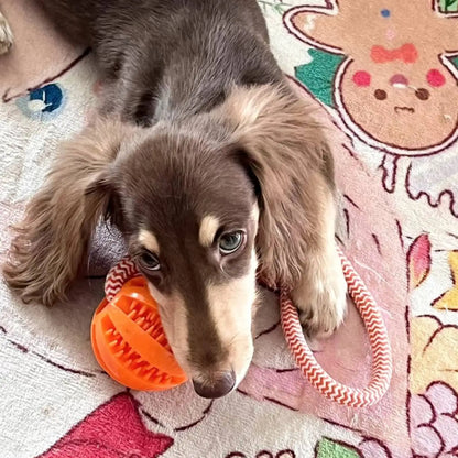 Cotton Rope Treat Ball Dog Toy