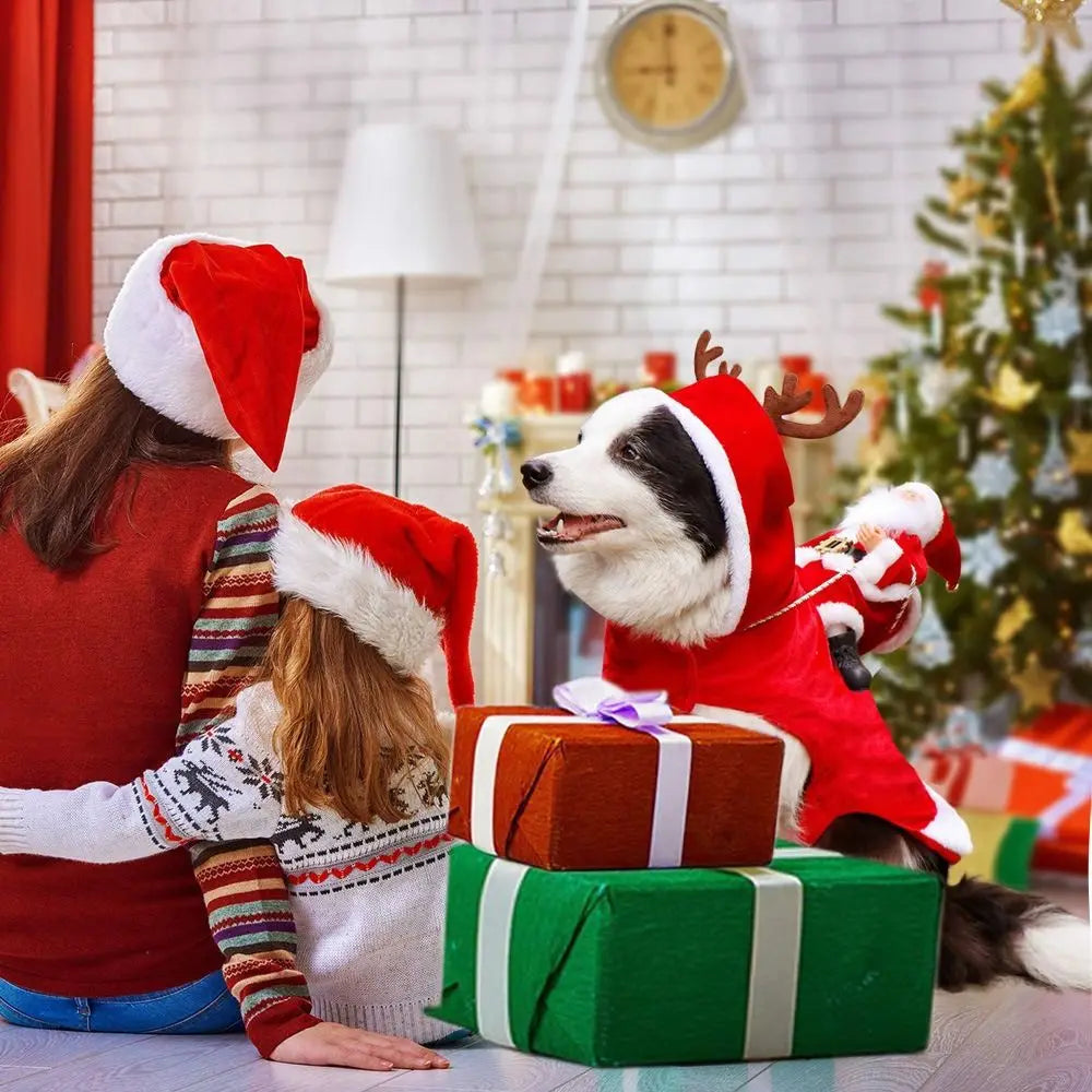 Christmas Snowman & Santa Costume Coat
