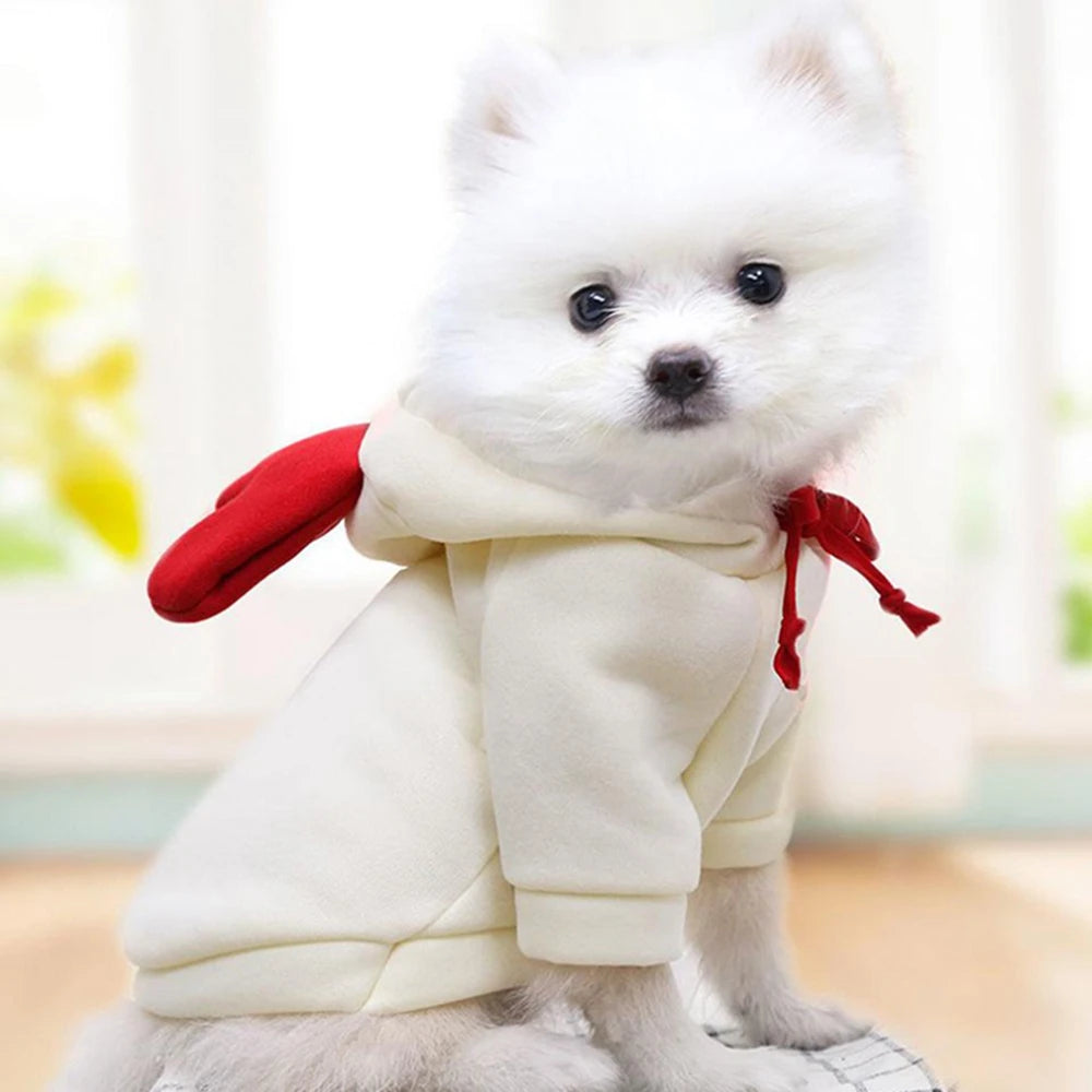 Pet Clothes Dog Hooded Sweatshirt Fruit Warm Coat Cat Sweater Winter Chihuahua Costume for Puppy Small Medium Dogs Cat Clothes