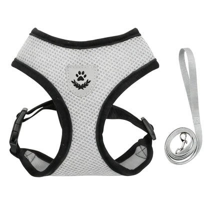 Reflective Cat Harness & Leash Set