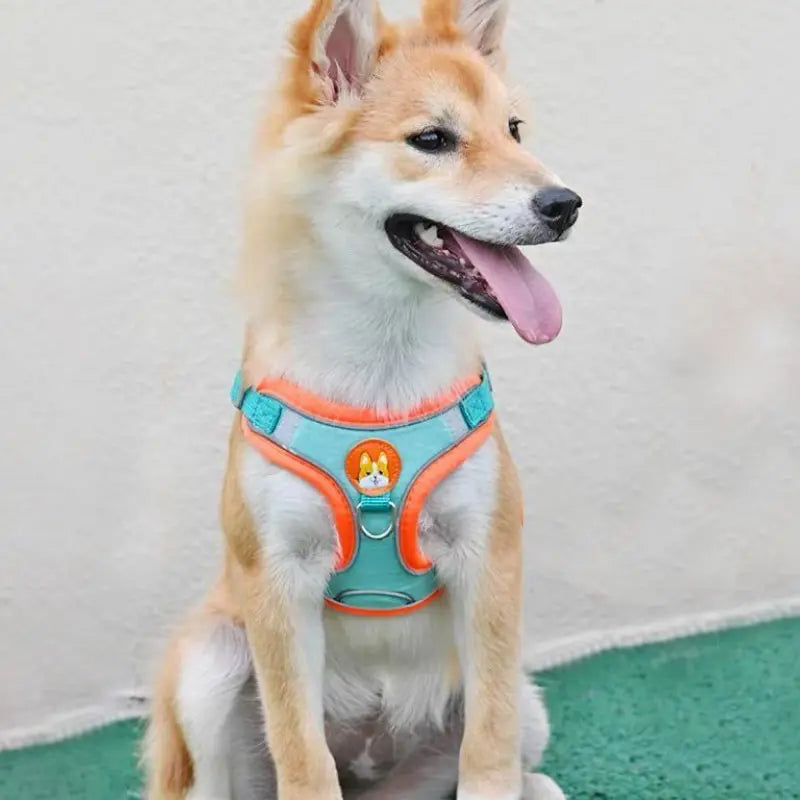 No-Pull Reflective Dog Harness