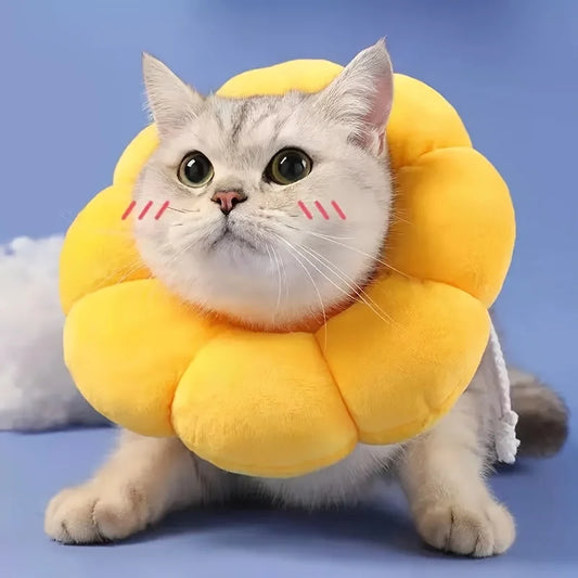 Flower Cat Recovery Collar