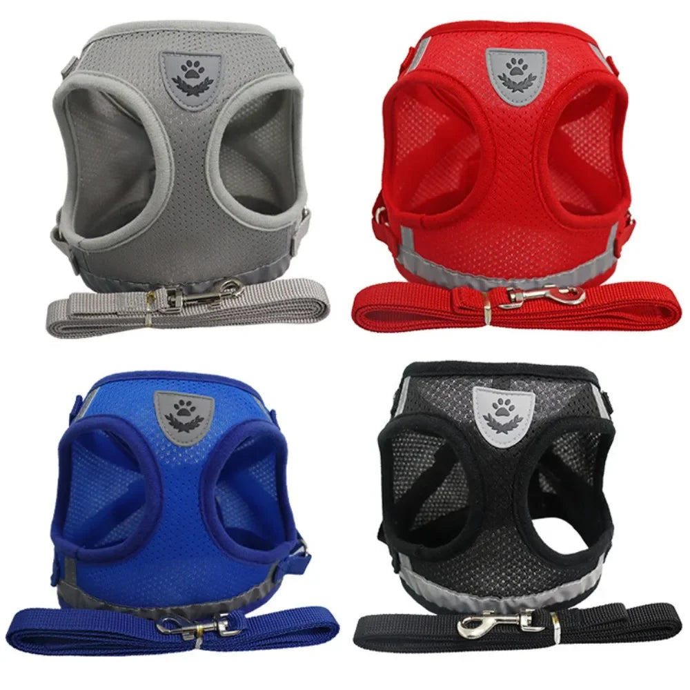 Reflective Escape-Proof Cat Harness Set