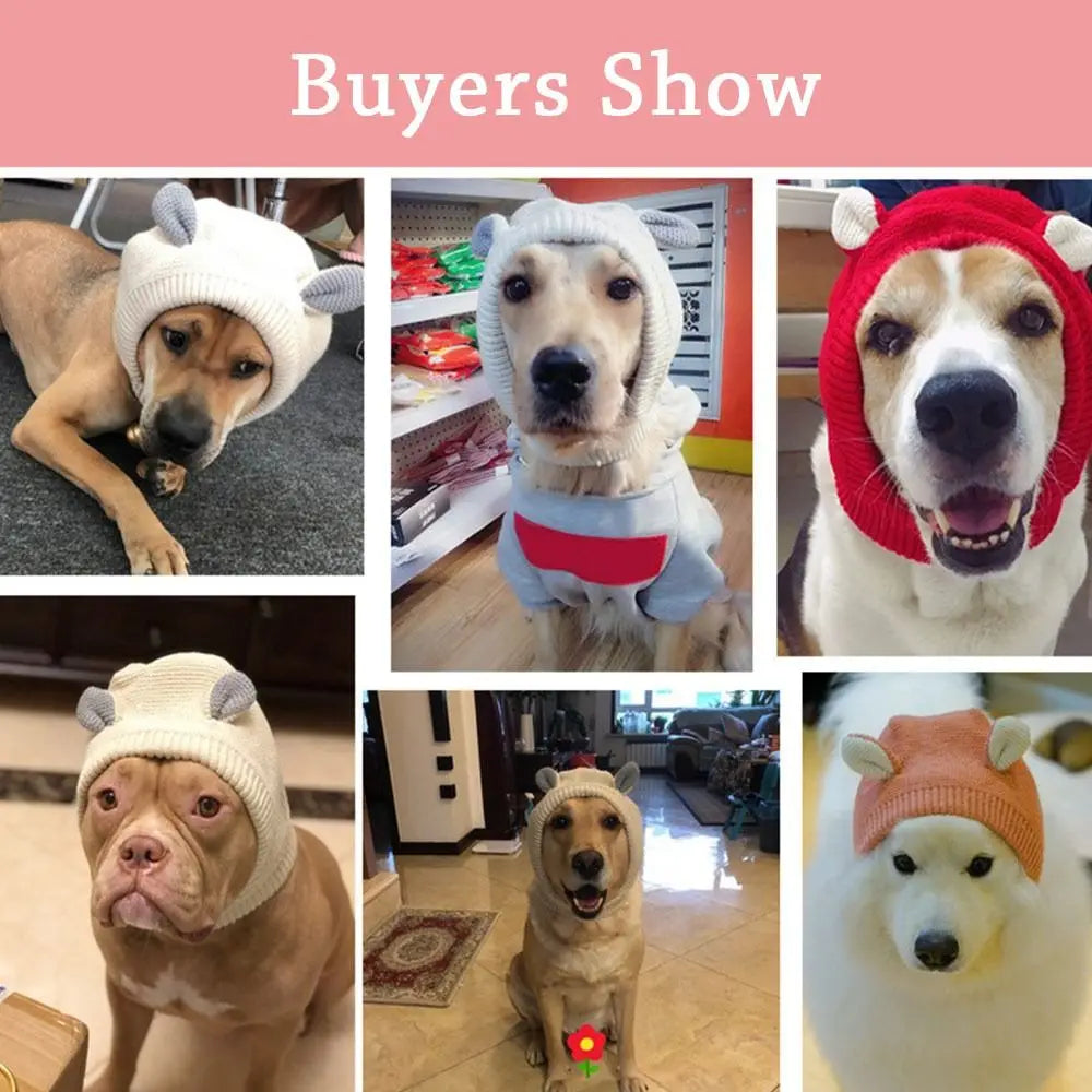 Knit Dog Ear Muffs & Hat