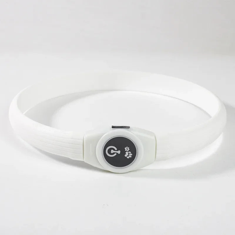 LED Light-Up Dog Collar