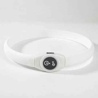 LED Light-Up Dog Collar