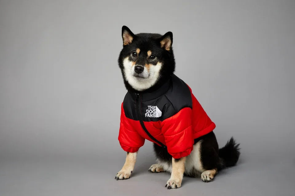 Puppy Down Jacket