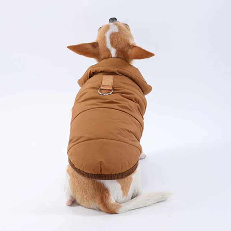 Windproof Padded Winter Dog Coat