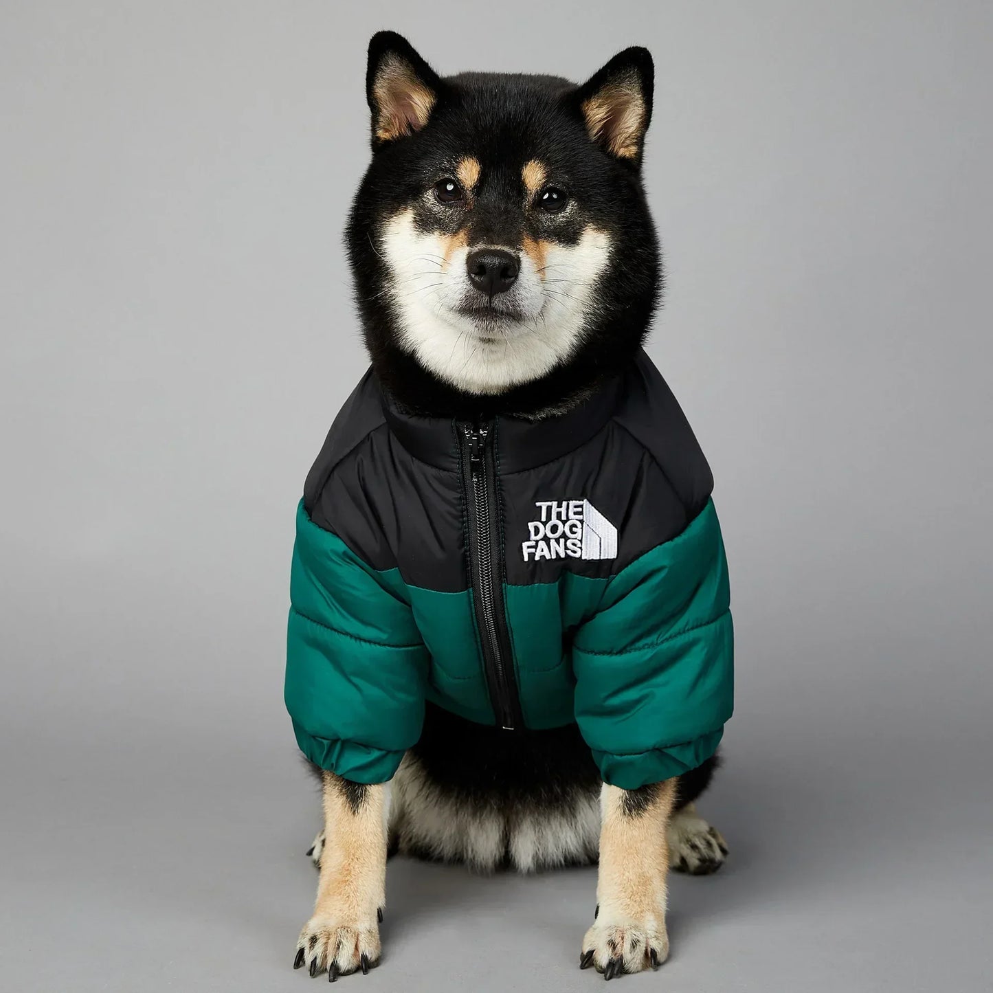 Puppy Down Jacket