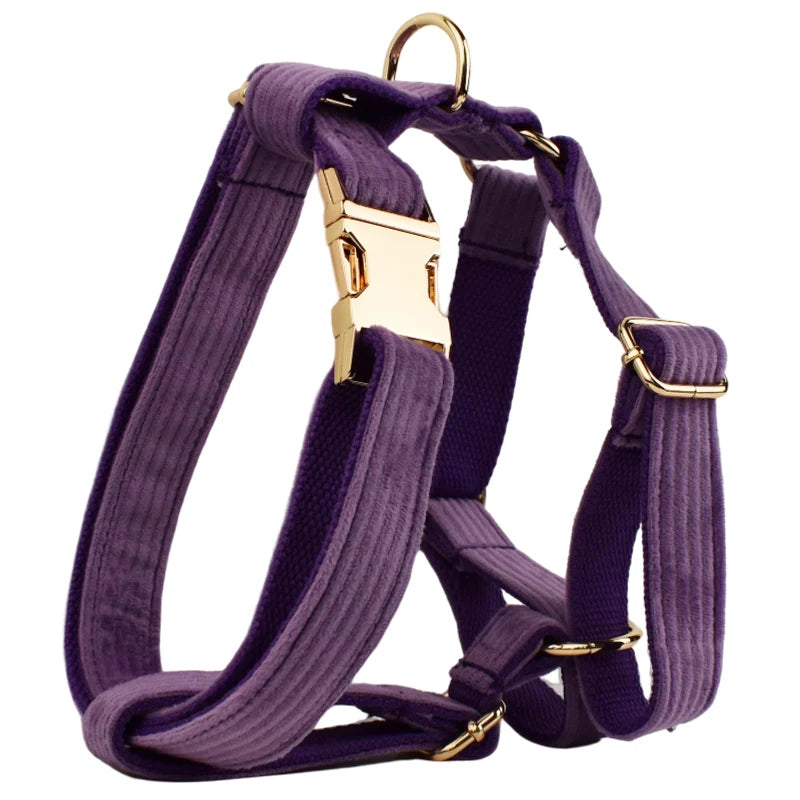 Corduroy Dog Collar & Leash Set