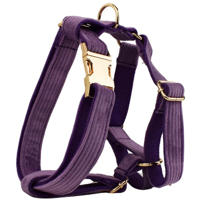 Corduroy Dog Collar & Leash Set