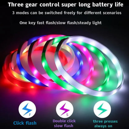 LED Light-Up Dog Collar