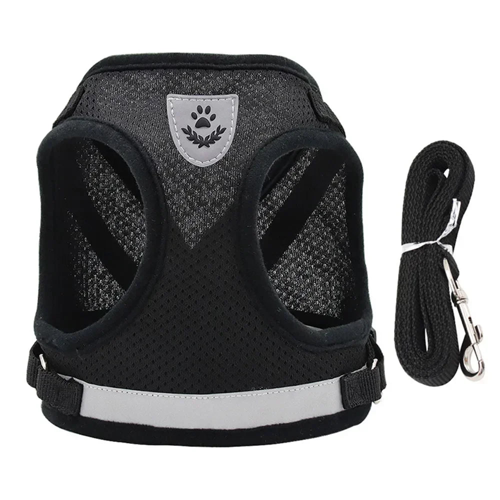 Reflective Escape-Proof Cat Harness Set