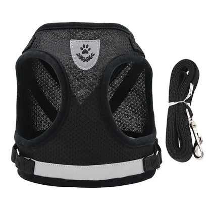Reflective Escape-Proof Cat Harness Set