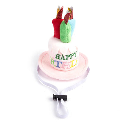 Pet Birthday Party Hat
