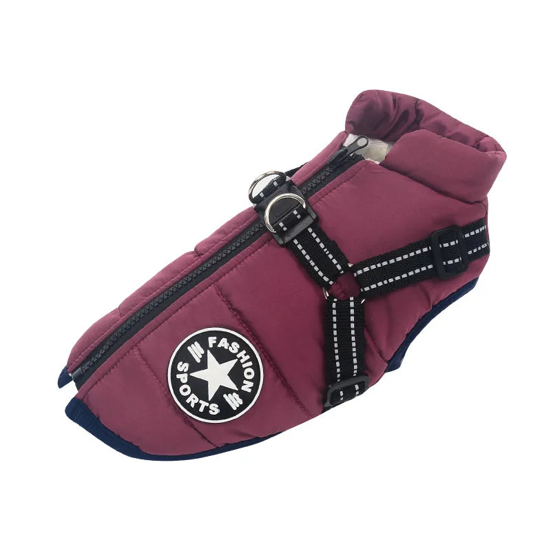 Winter Dog Jacket with Built-In Harness