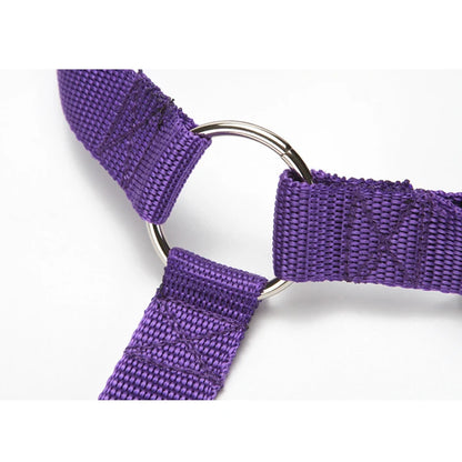 2-in-1 Dog Car Seat Belt & Leash