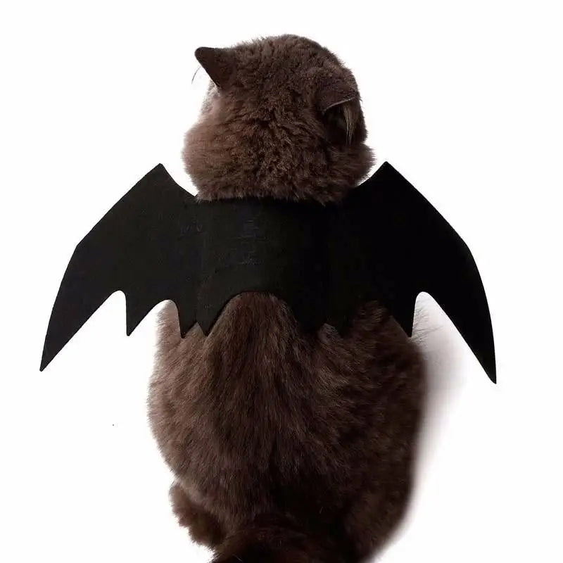 Halloween Bat Wings Pet Costume