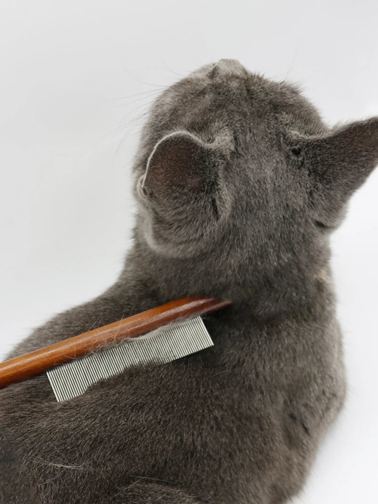 Cat Dematting Needle Comb