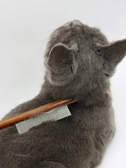 Cat Dematting Needle Comb