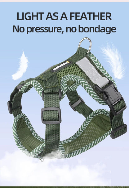 Reflective Mesh Cat Harness & Leash Set