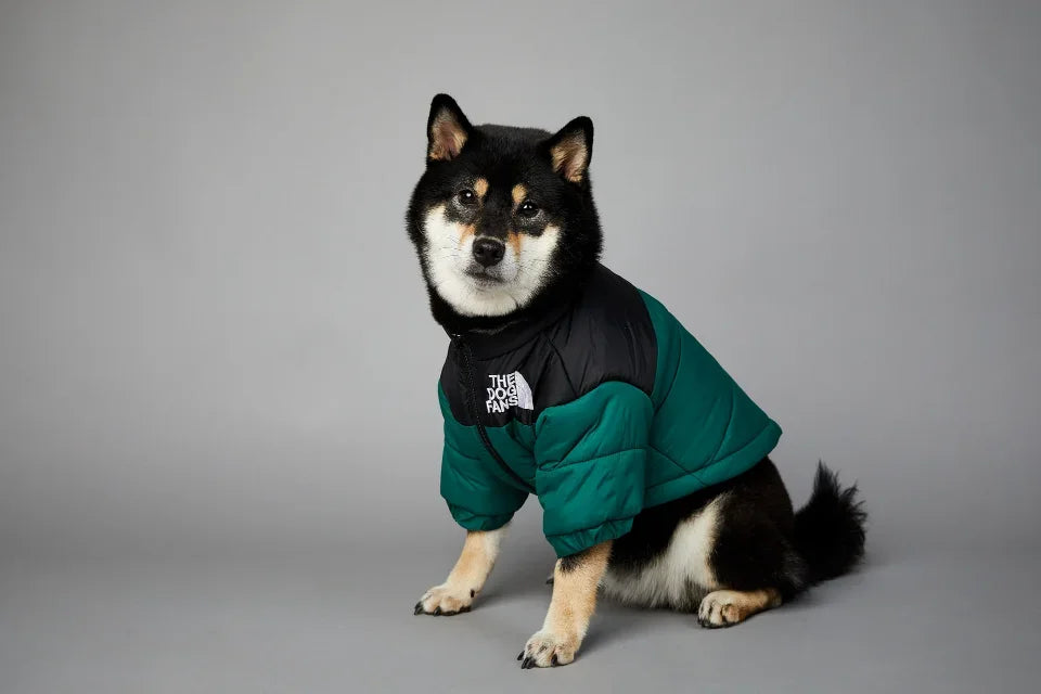 Puppy Down Jacket