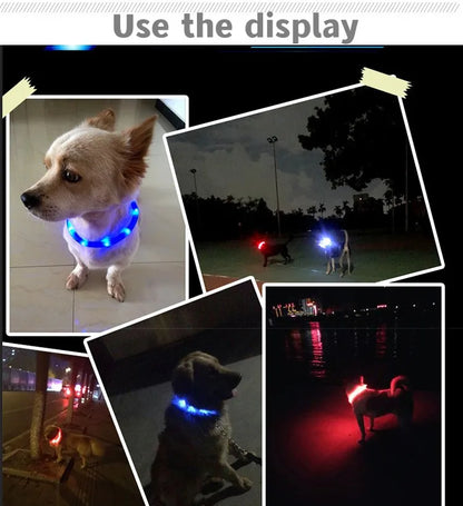 LED Light-Up Dog Collar