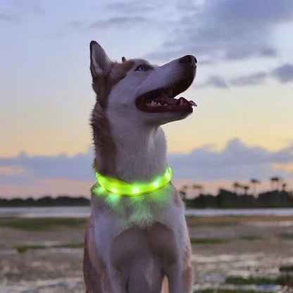 LED Light-Up Dog Collar