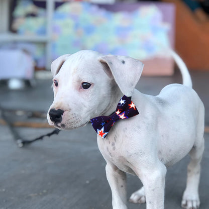 4th of July Dog Bow Ties (Bulk Pack)